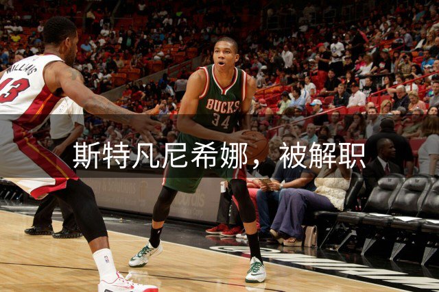 斯特凡尼希娜，被解职