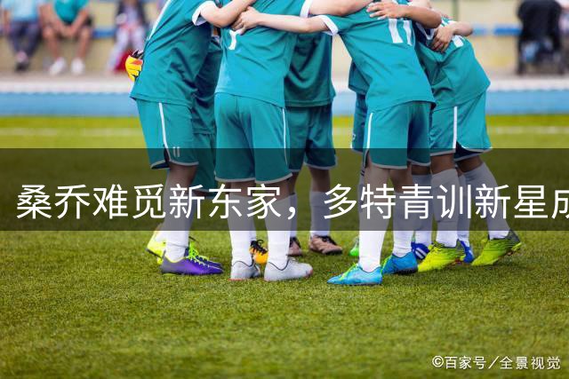 桑乔难觅新东家，多特青训新星成焦点