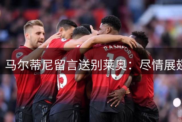 马尔蒂尼留言送别莱奥：尽情展翅飞翔，这是独属于你的方式